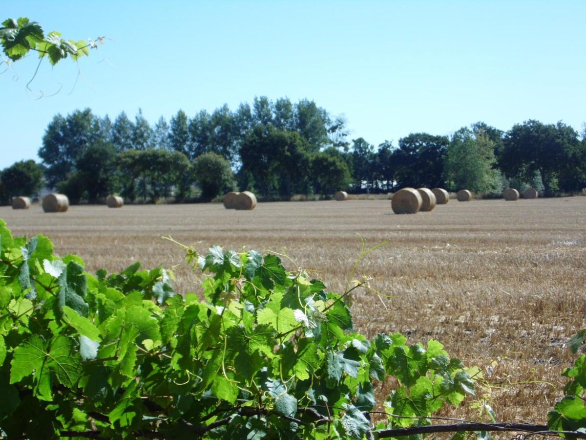 Gîte à la ferme en pleine nature Esterno foto